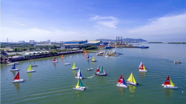 5203 Ynh bia Marina