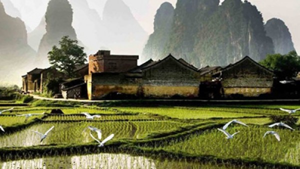 Thủ tục mua vé máy bay đi Nhật chi tiết