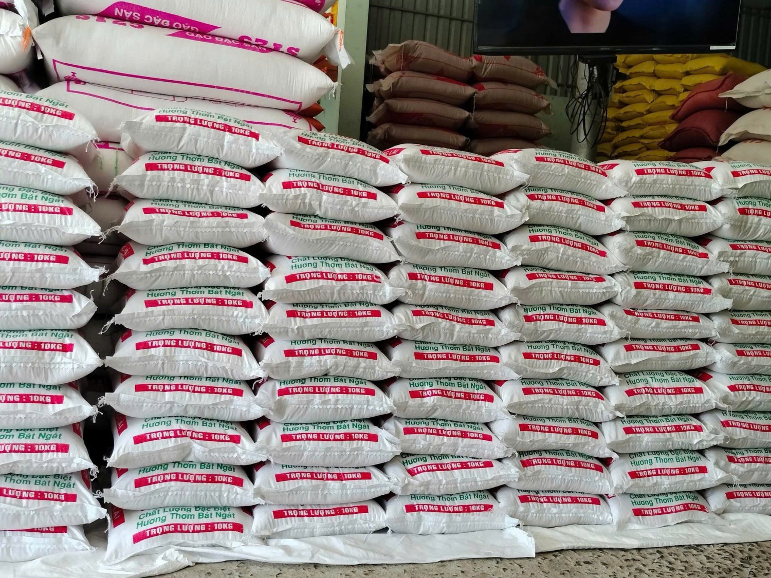 z7274425025910 24443b3b1ce8736b402bcbabe59f11a3