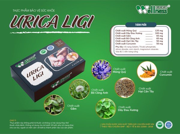 URICA LIGI: GIẢI PHÁP CHUYÊN BIỆT CHO NGƯỜI BỆNH GOUT, VIÊM KHỚP