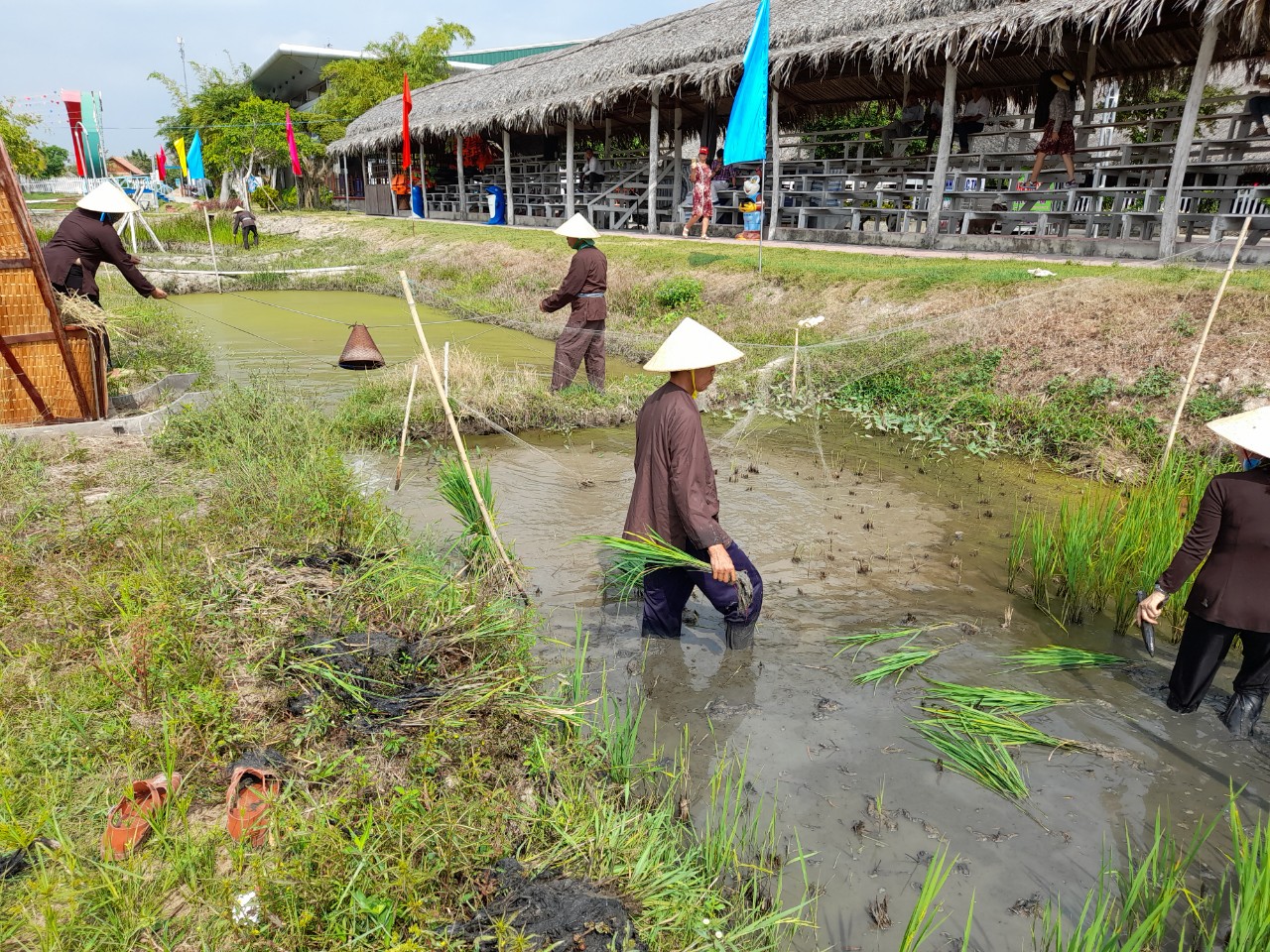 Khu du lịch Phương Nam - Đậm hương vị miền Tây